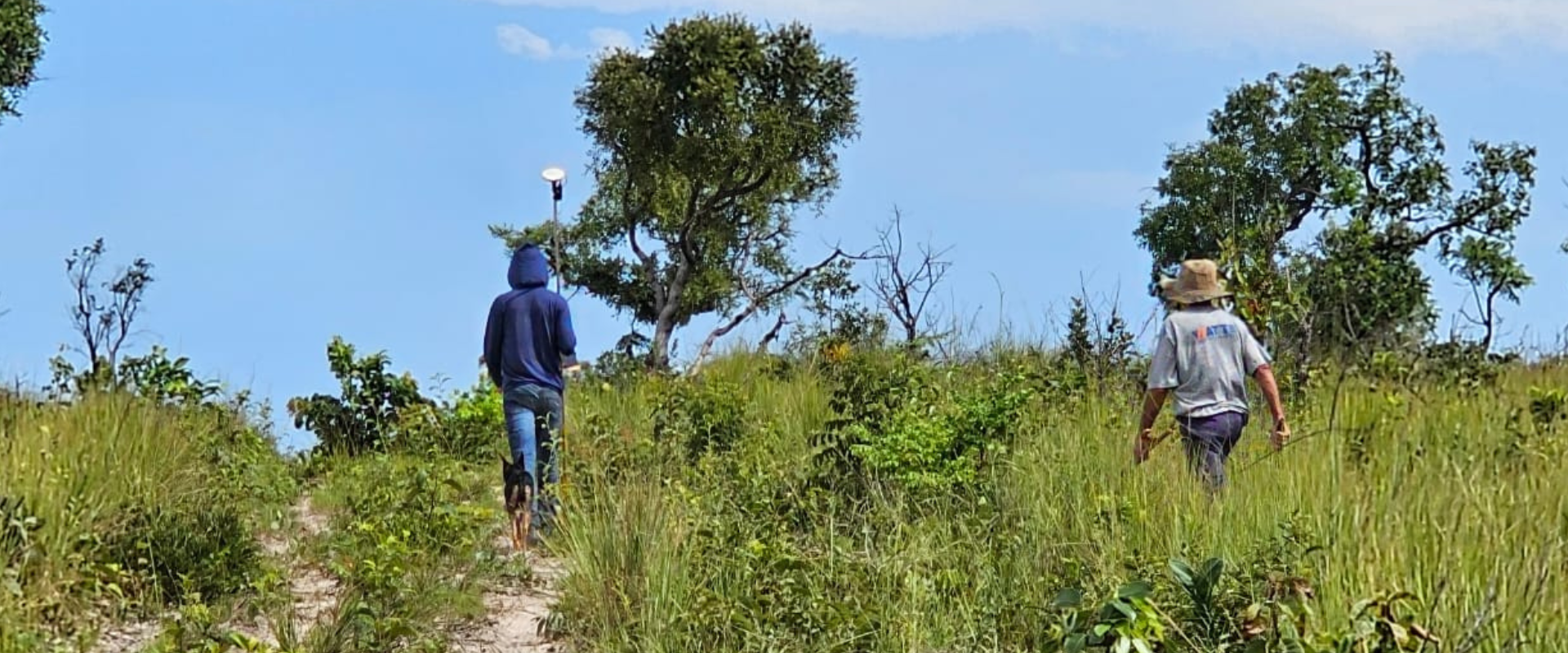 Área analisada — imóvel rural no Cerrado tocantinense